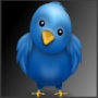 Urmareste-ne pe Twitter!