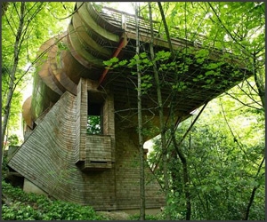Tree House