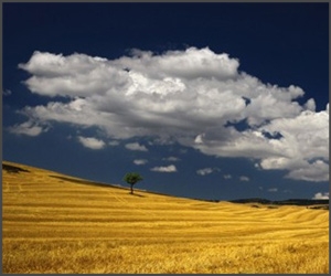 Aceasta este natura...