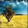 50 de wallpapere superbe
