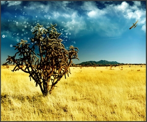 50 de wallpapere superbe