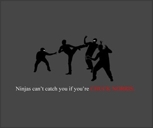 Ninja nu pot sa te prinda