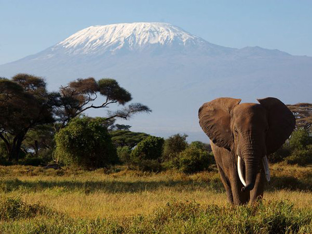 10 poze superbe: Africa