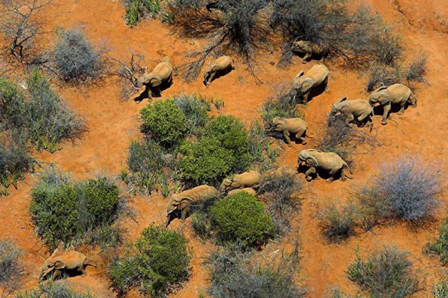 10 poze superbe: Africa